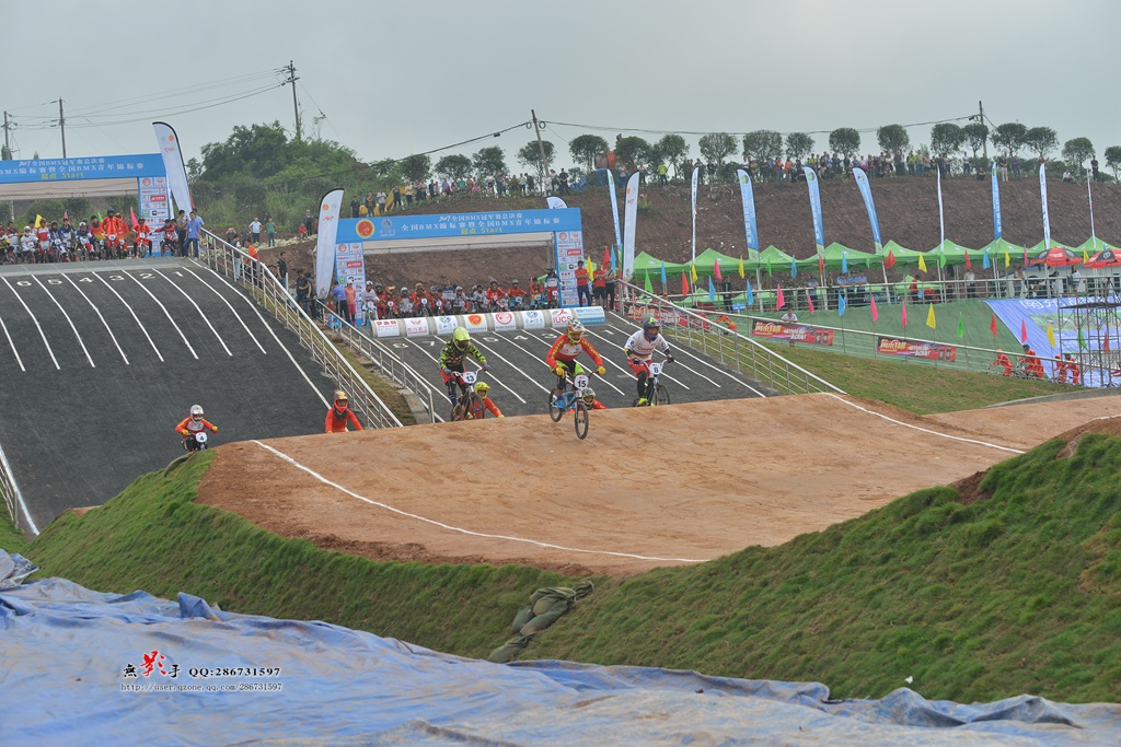 DSC_8261.jpg