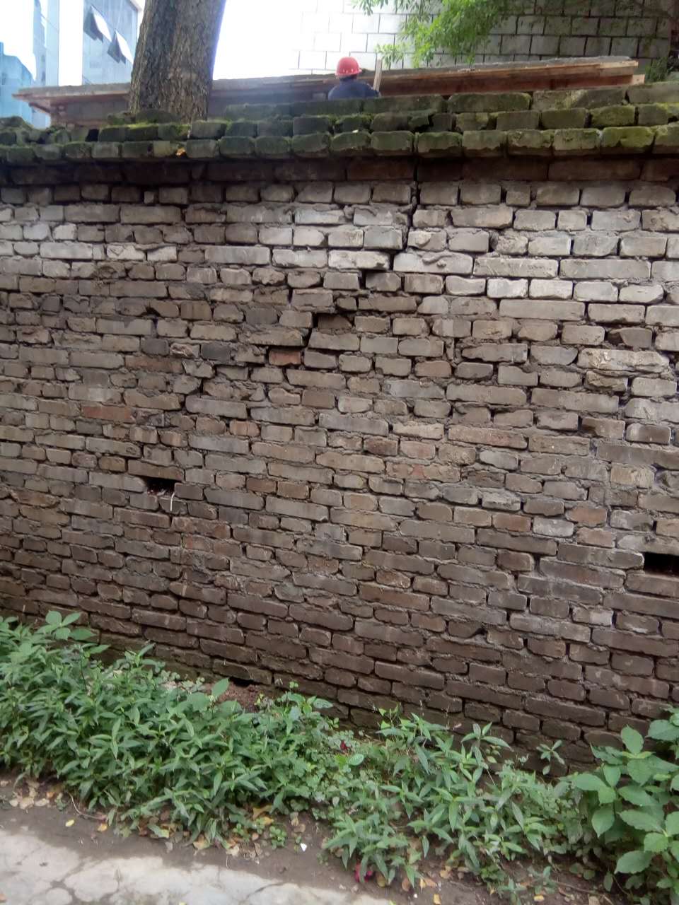 蓬安建设路老汽车站后大门一带的围墙被雨淋得快要倒塌了,突然来了一
