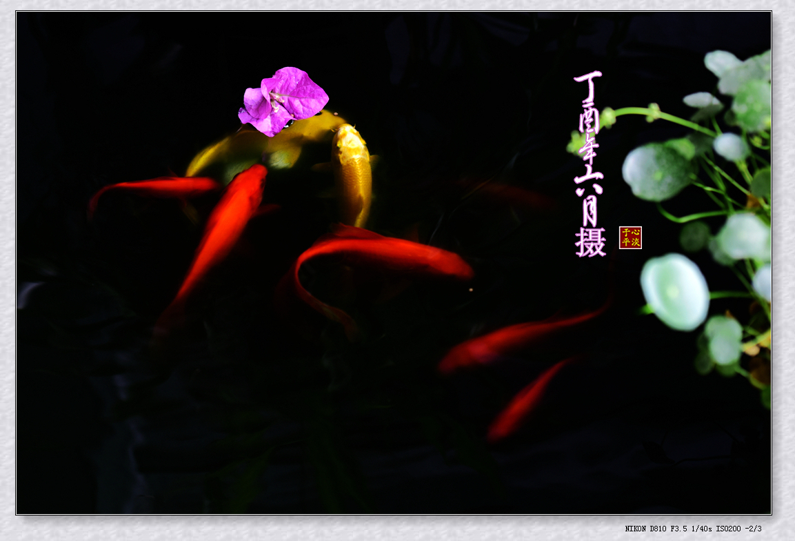 200557hq1b2tjjz8bji9z0.jpg