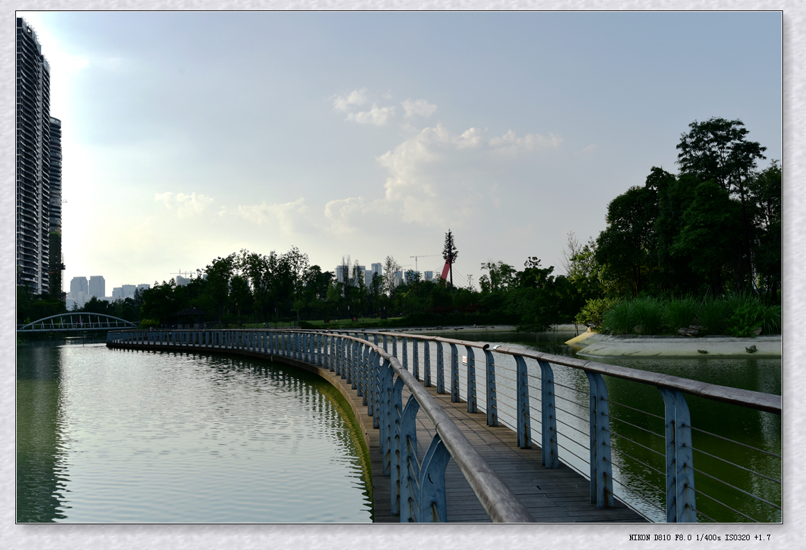 DSC_3573_.jpg