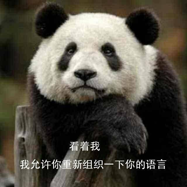 霸道总裁胖达君:到我怀里来-熊猫论坛-麻辣社区 四川第一网络社区 你