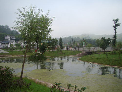 DSC04245.JPG