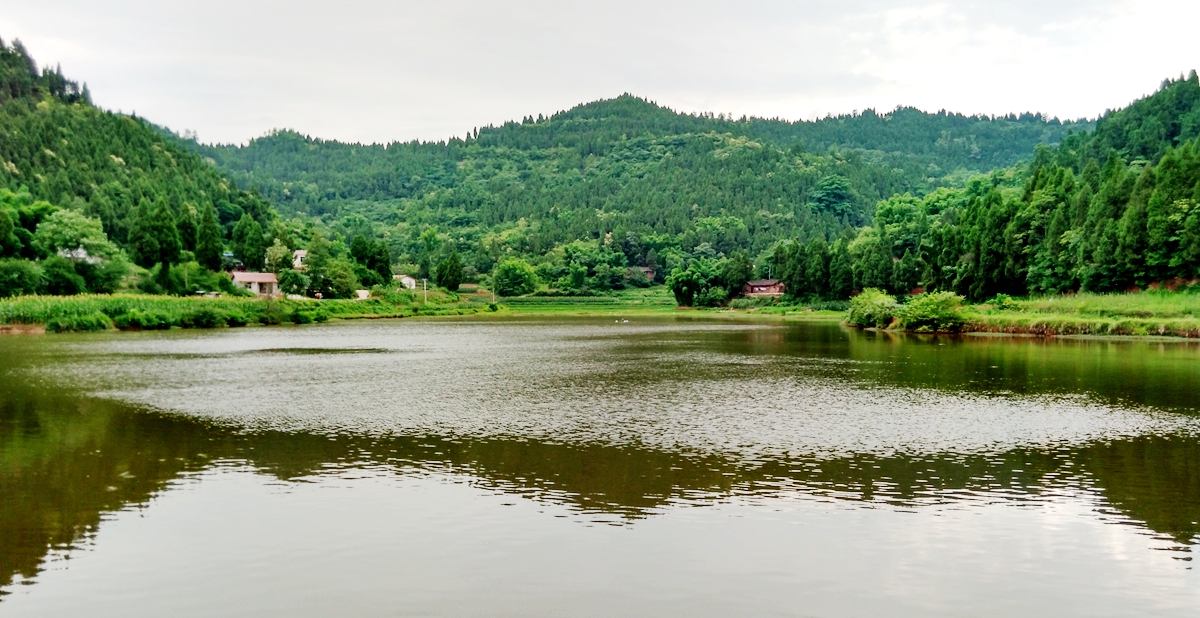 IMG_20170627_165516_HDR.jpg