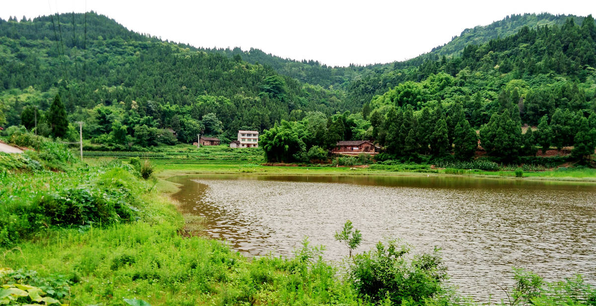IMG_20170627_171237_HDR.jpg