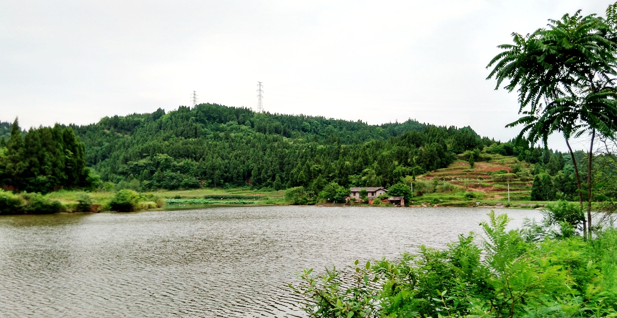 IMG_20170627_171325_HDR.jpg