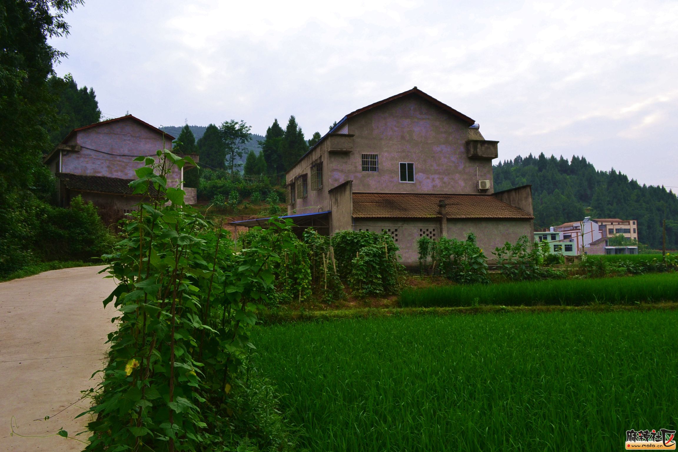 DSC_2903.JPG
