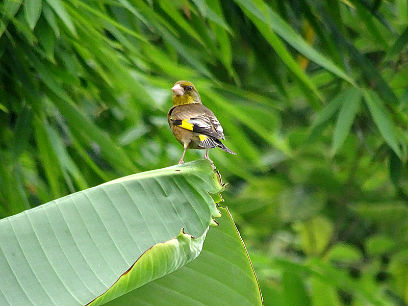 DSC06728_副本.jpg