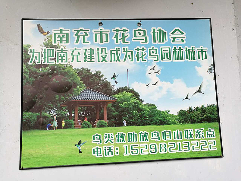 微信图片_20170630131832_副本.jpg