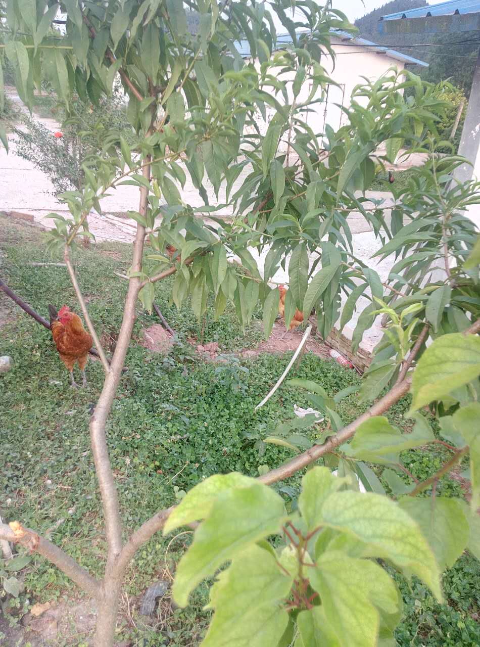 ΢ͼƬ_20170630221115.jpg