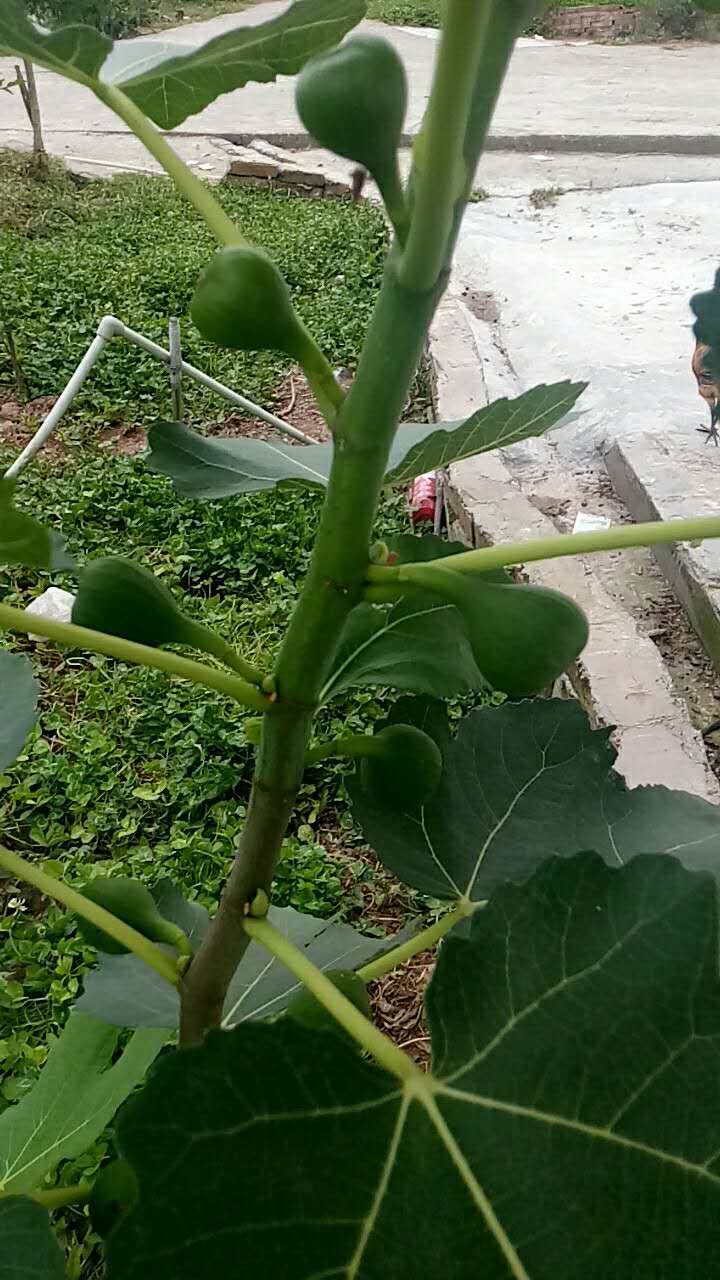 ΢ͼƬ_20170630221115.jpg