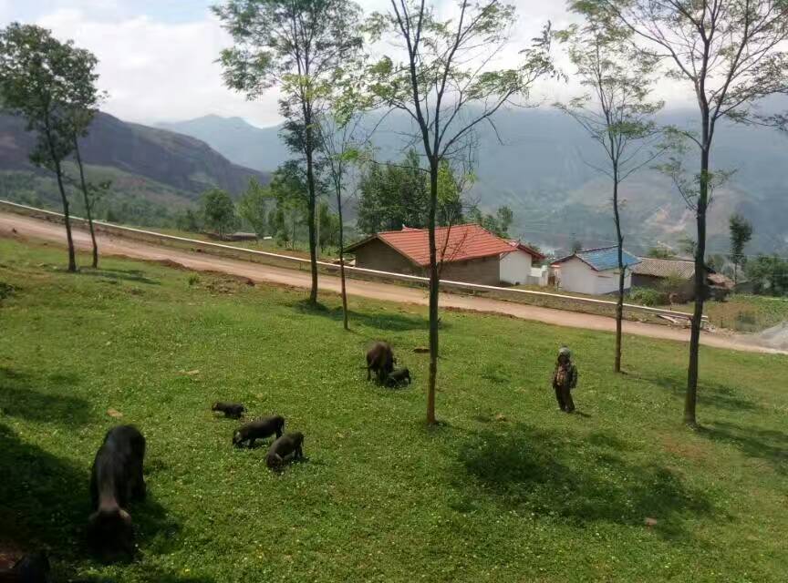 115.jpg