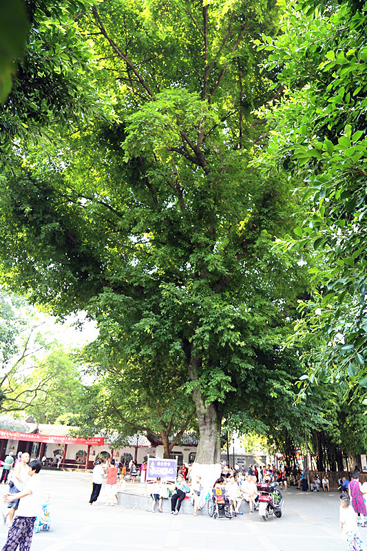 IMG_0074_副本.jpg
