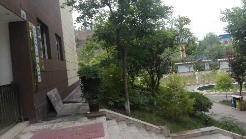 IMG_20170704_091751.jpg
