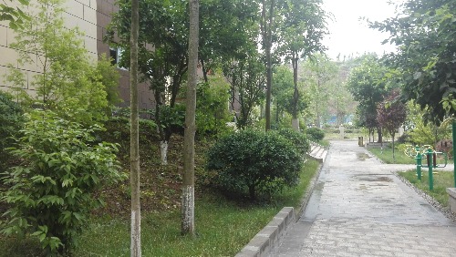 IMG_20170704_092435.jpg