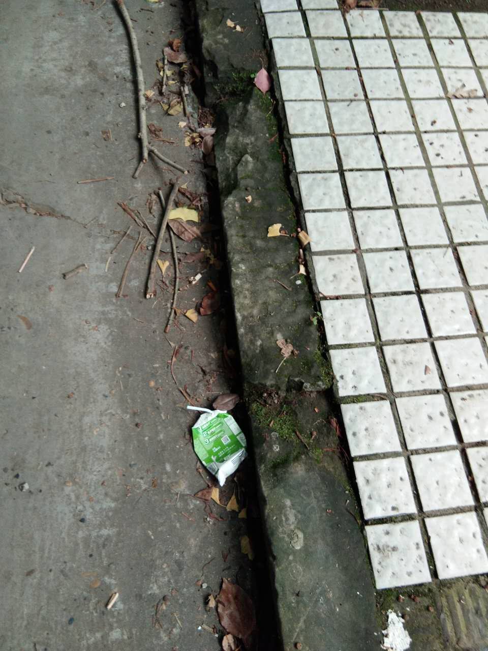 795246952367951596.jpg
