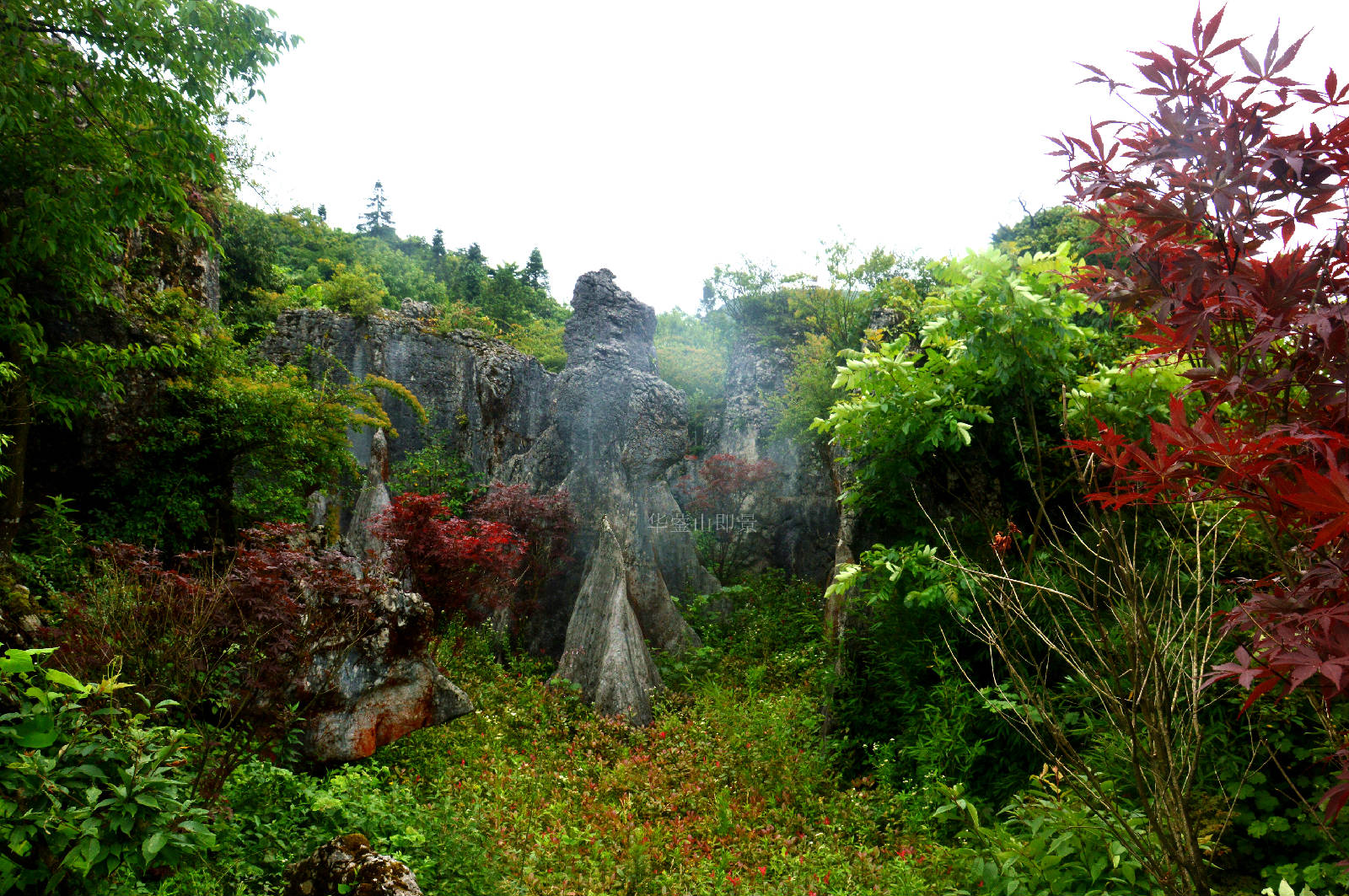 DSC_0082.JPG