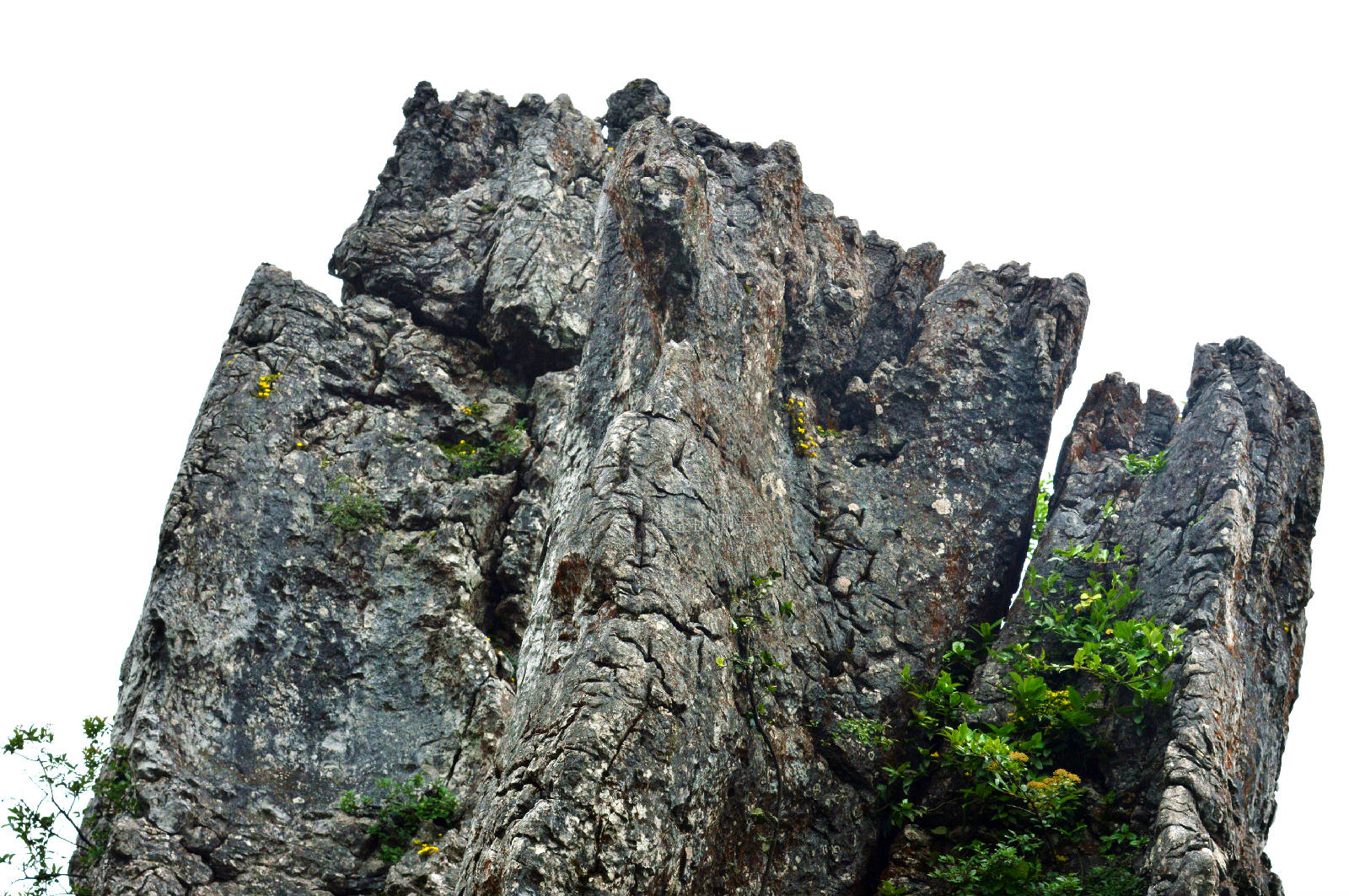 DSC_0094.JPG