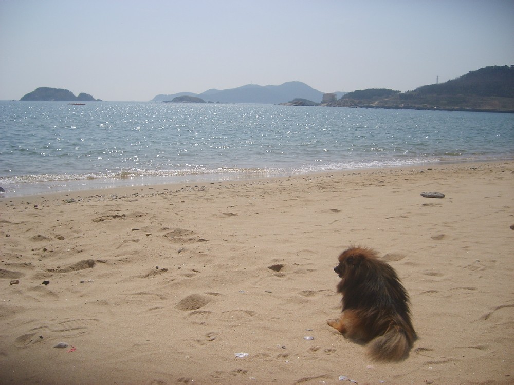 07.jpg