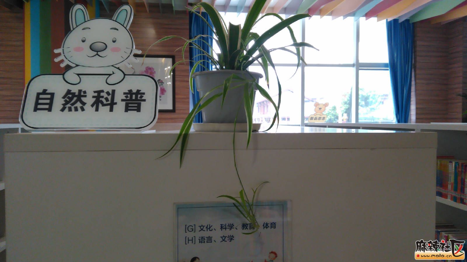 QQ图片20170708112345.jpg