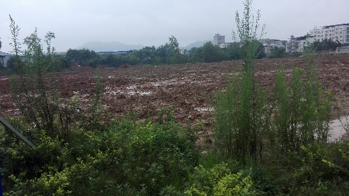 IMG_20170708_103027.jpg