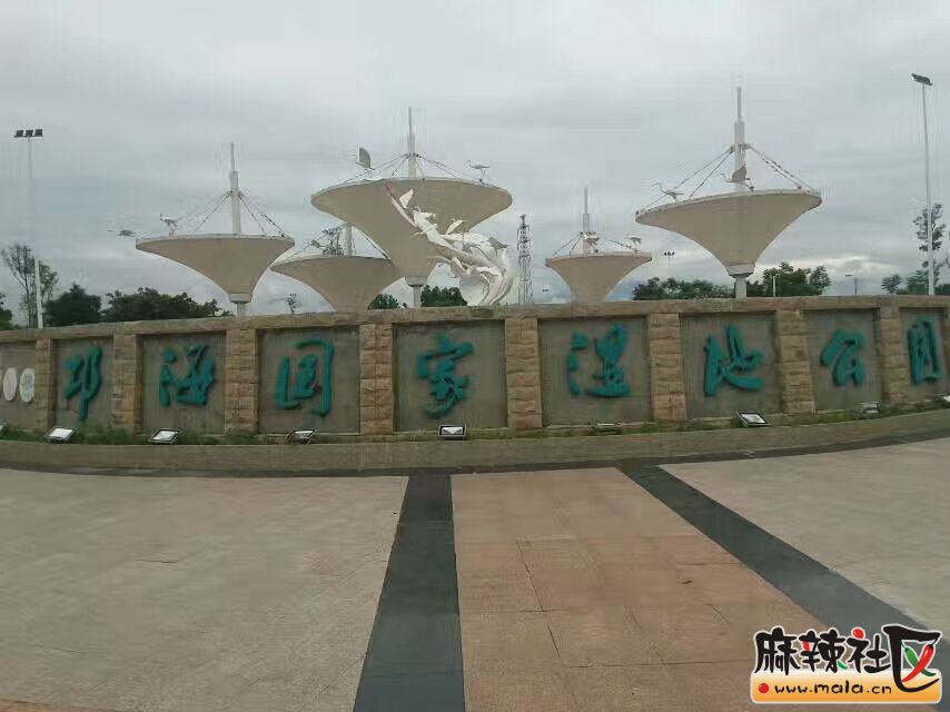QQ图片20170709133621.jpg