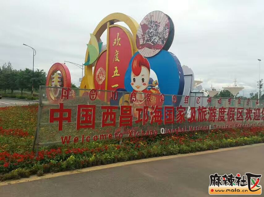 QQ图片20170709133652.jpg