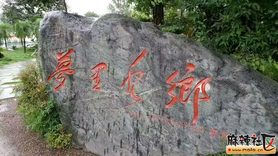 QQ图片20170709133740.jpg