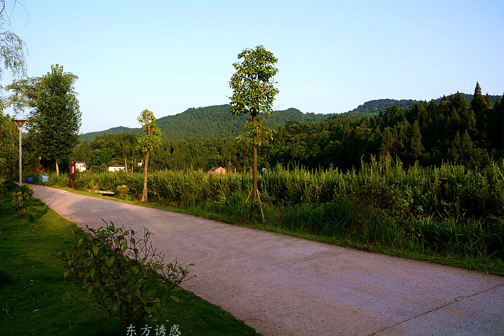 DSC_4588.jpg