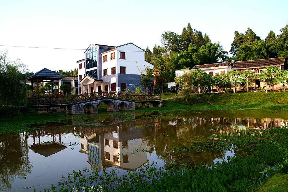 DSC_4587.jpg