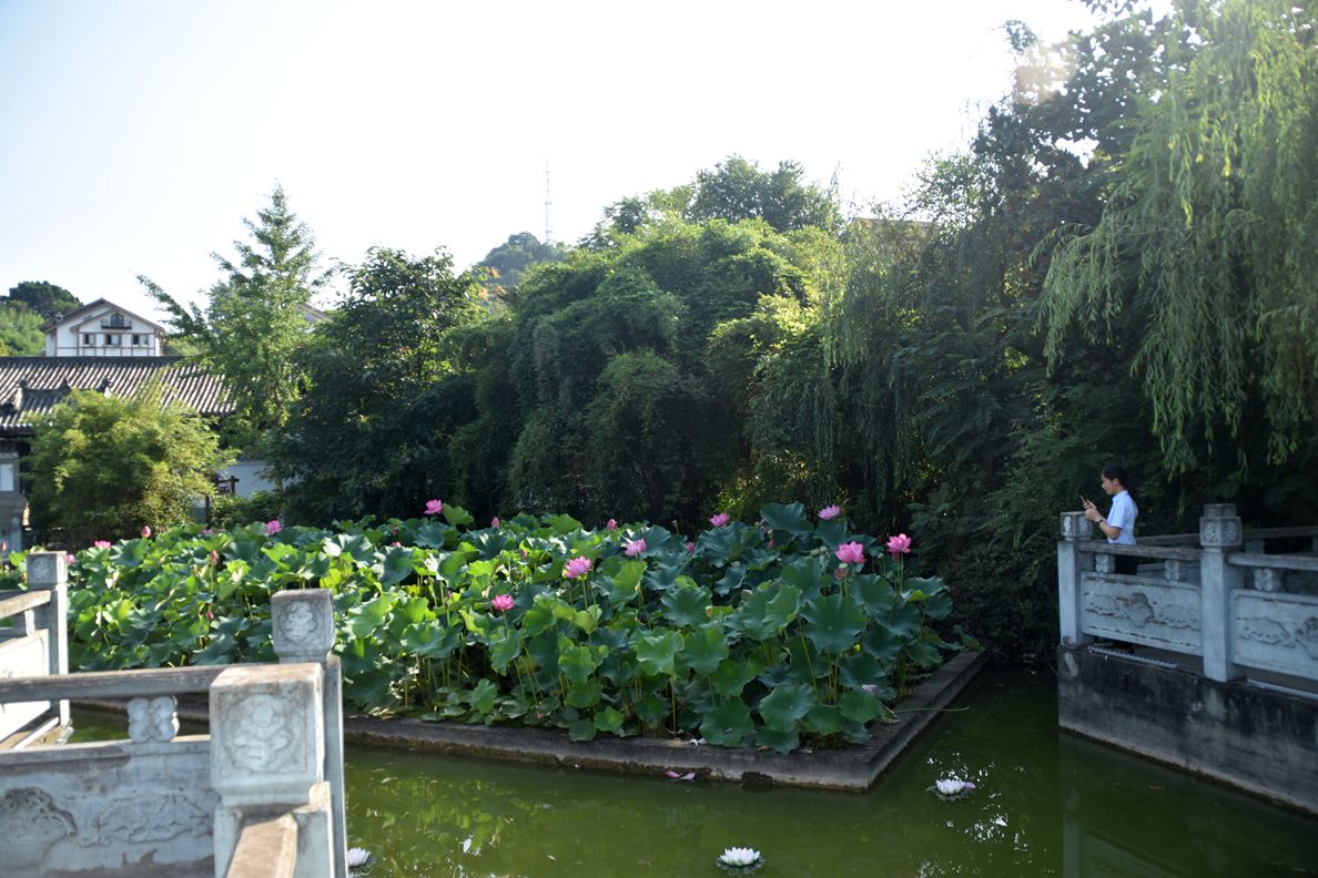 DSC_5533_.jpg