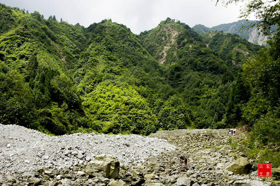 蟠龙