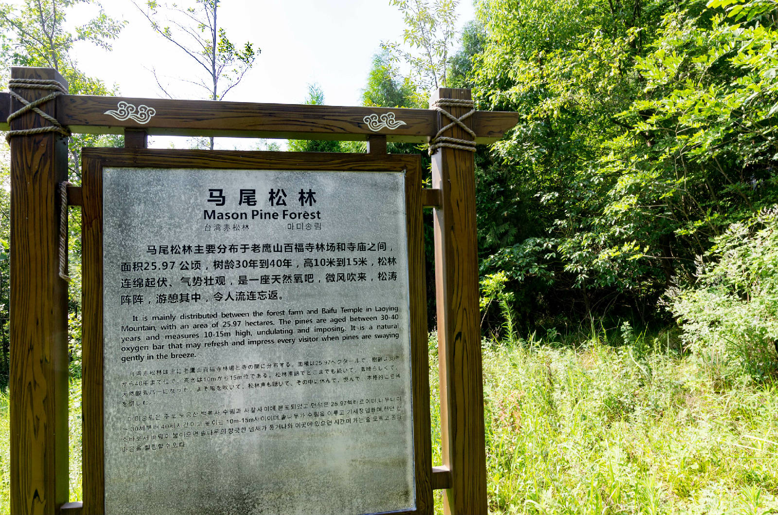 IMGP7463.jpg