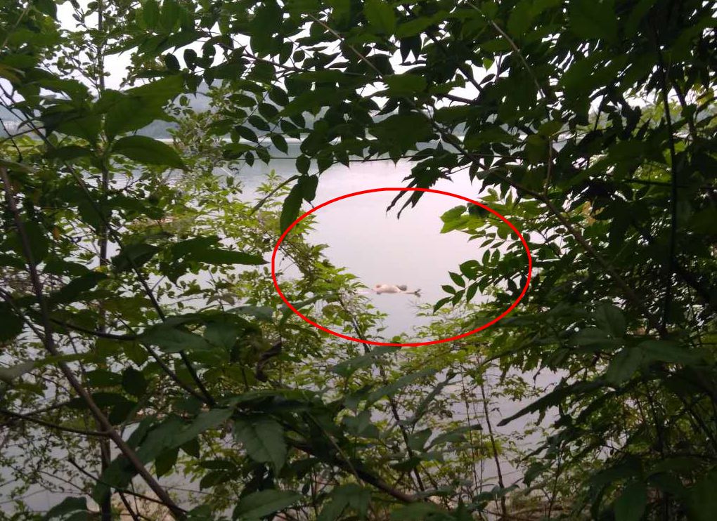 ΢ͼƬ_20170713194841.jpg