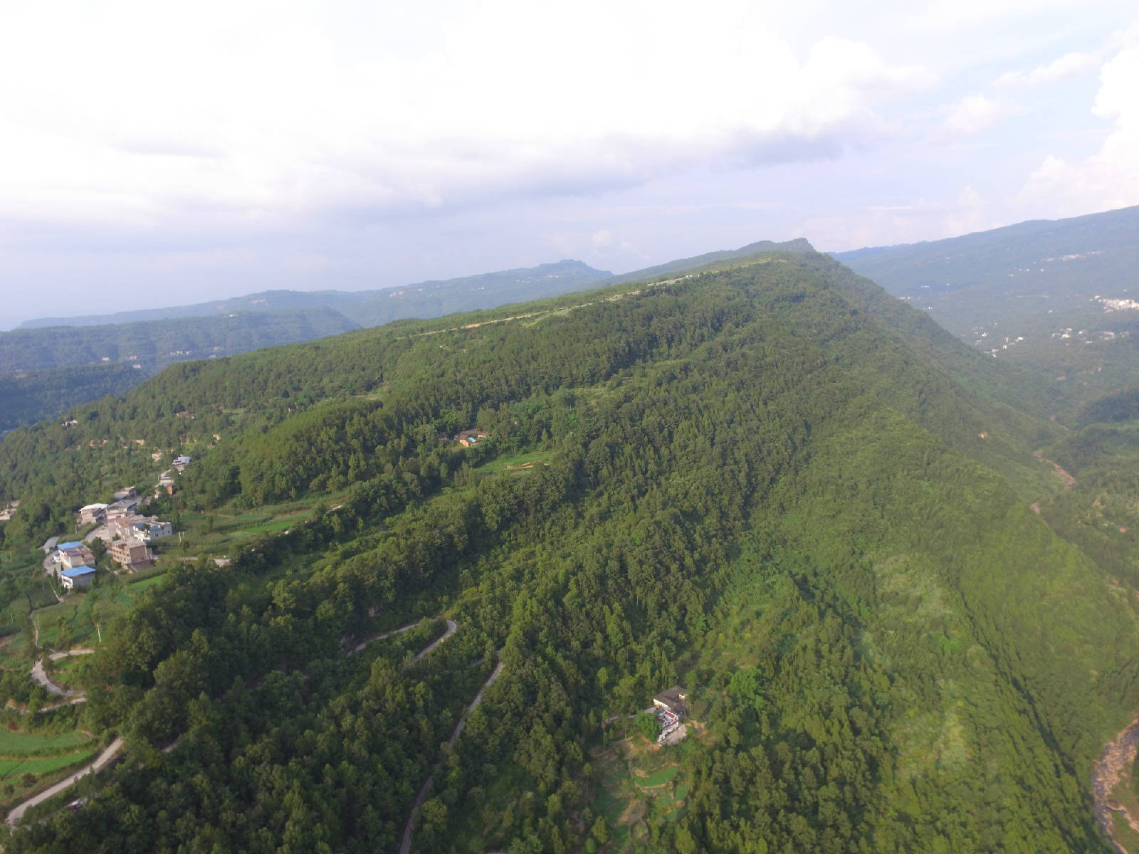 DJI_0008.JPG