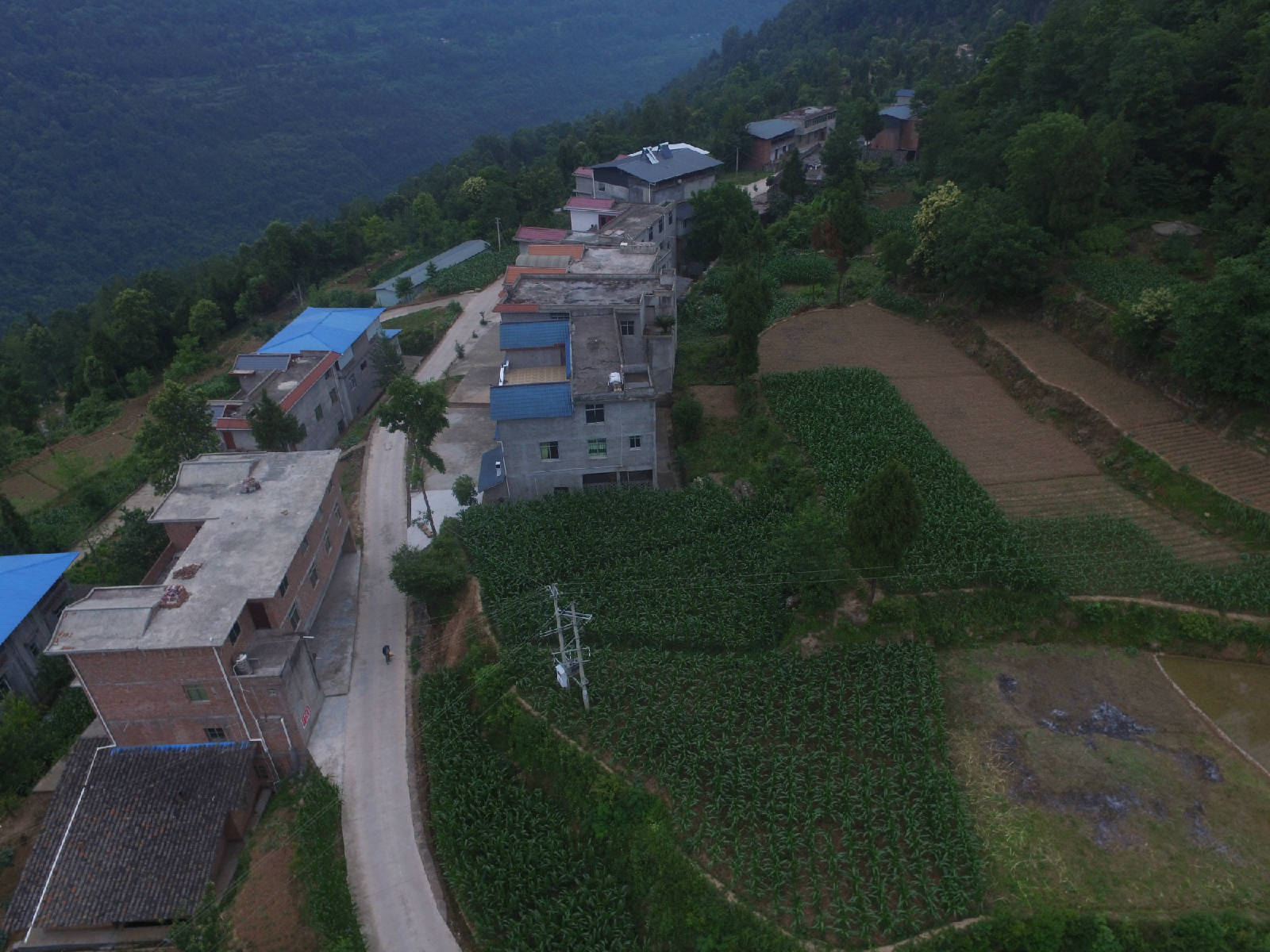 DJI_0080.JPG