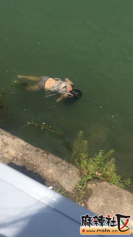 微信图片_20170717130302.jpg