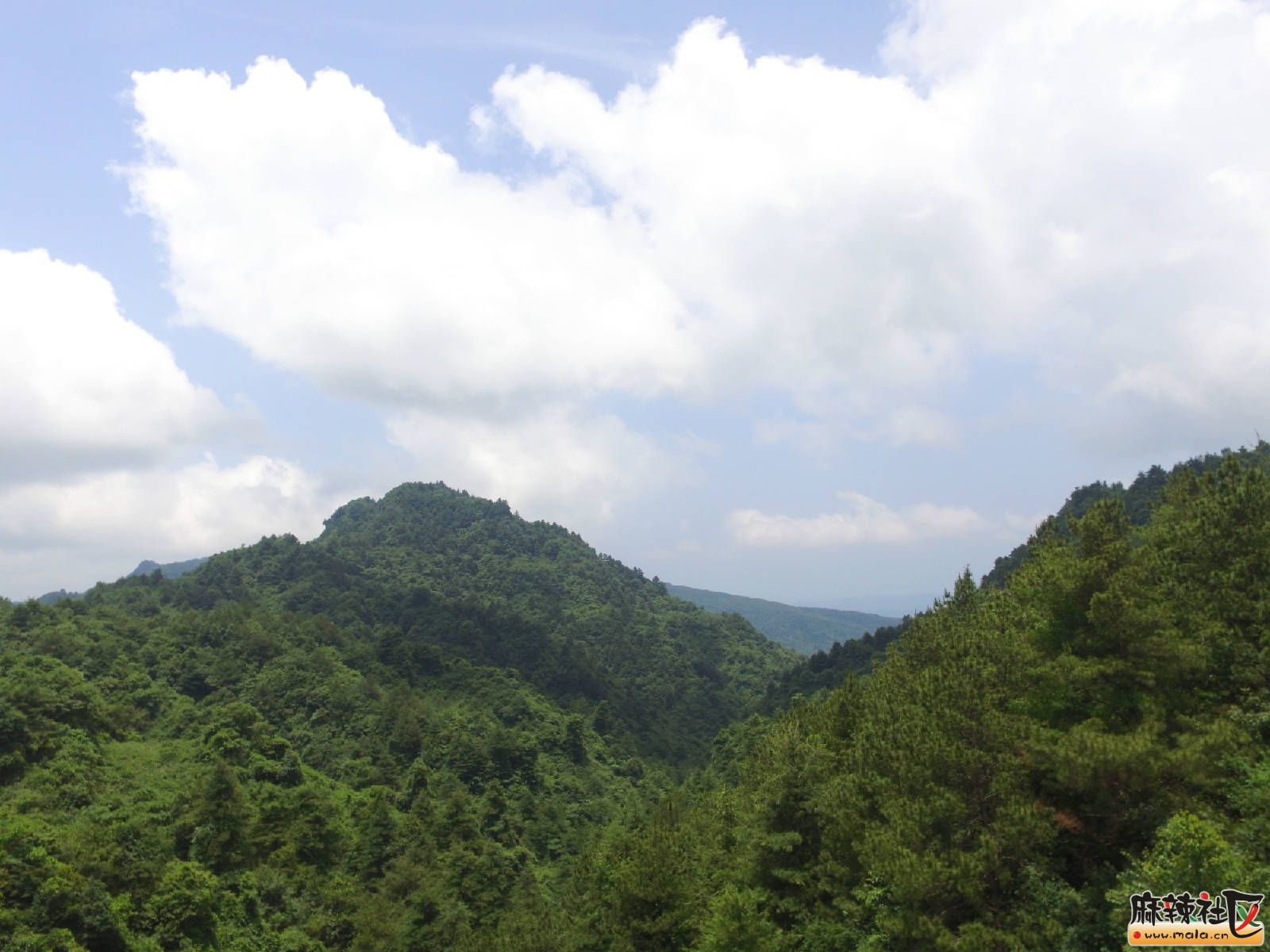 DJI_0013.JPG