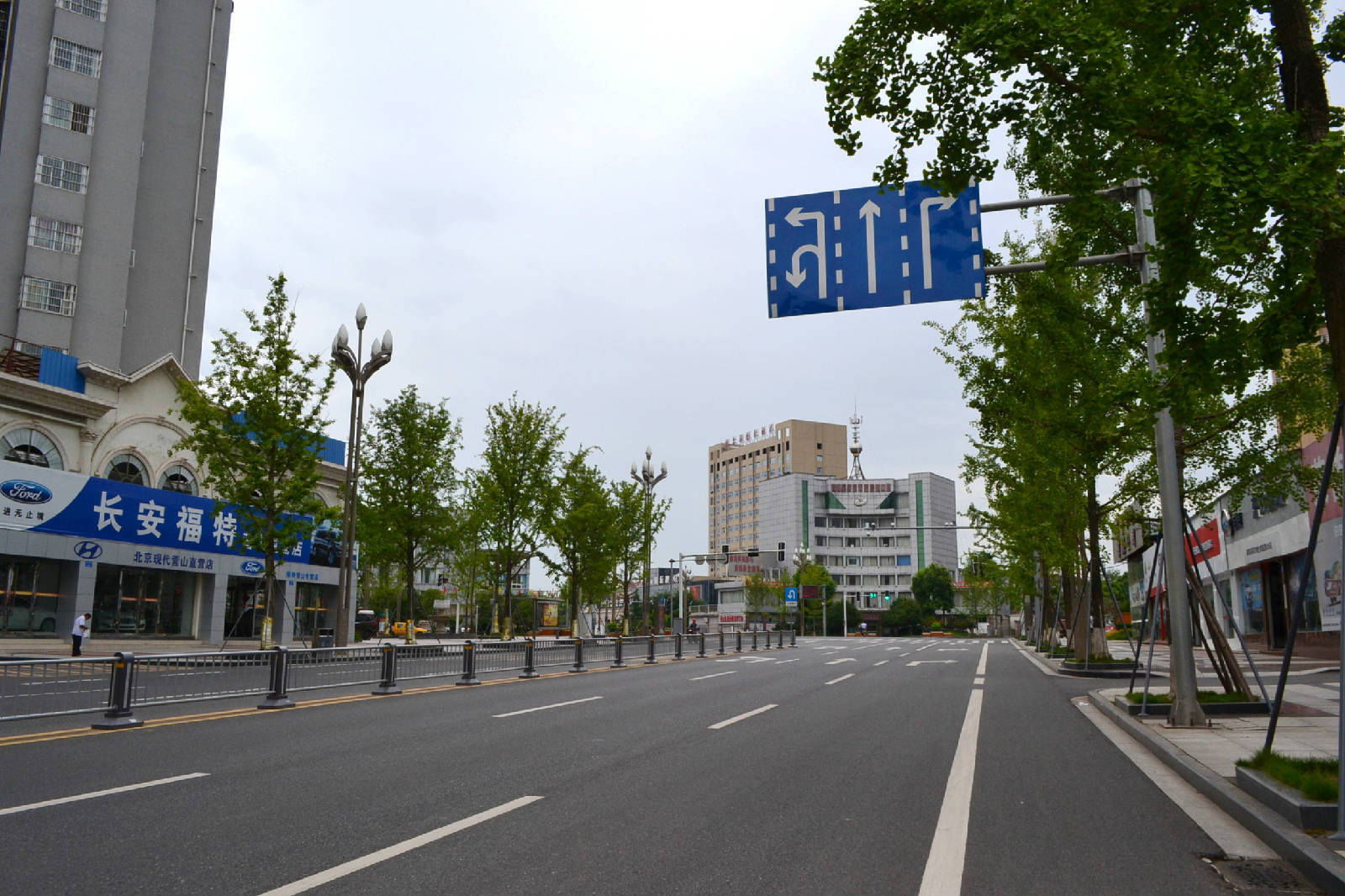 DSC_3180.JPG