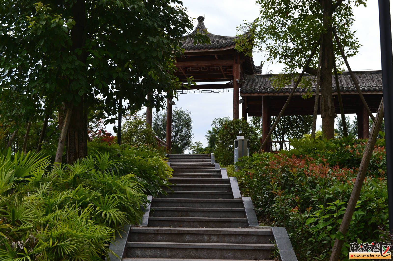 DSC_3187.JPG