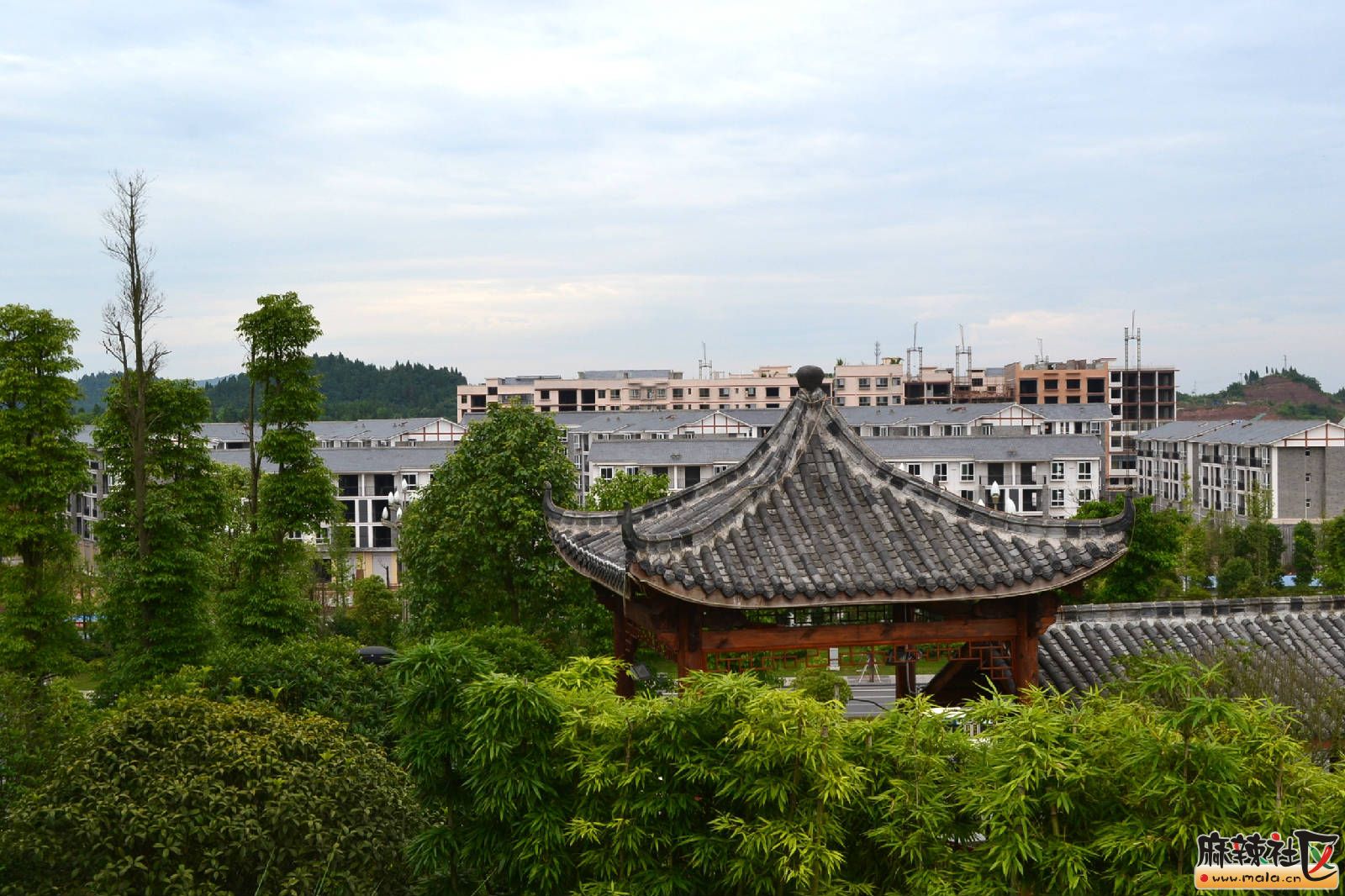 DSC_3197.JPG