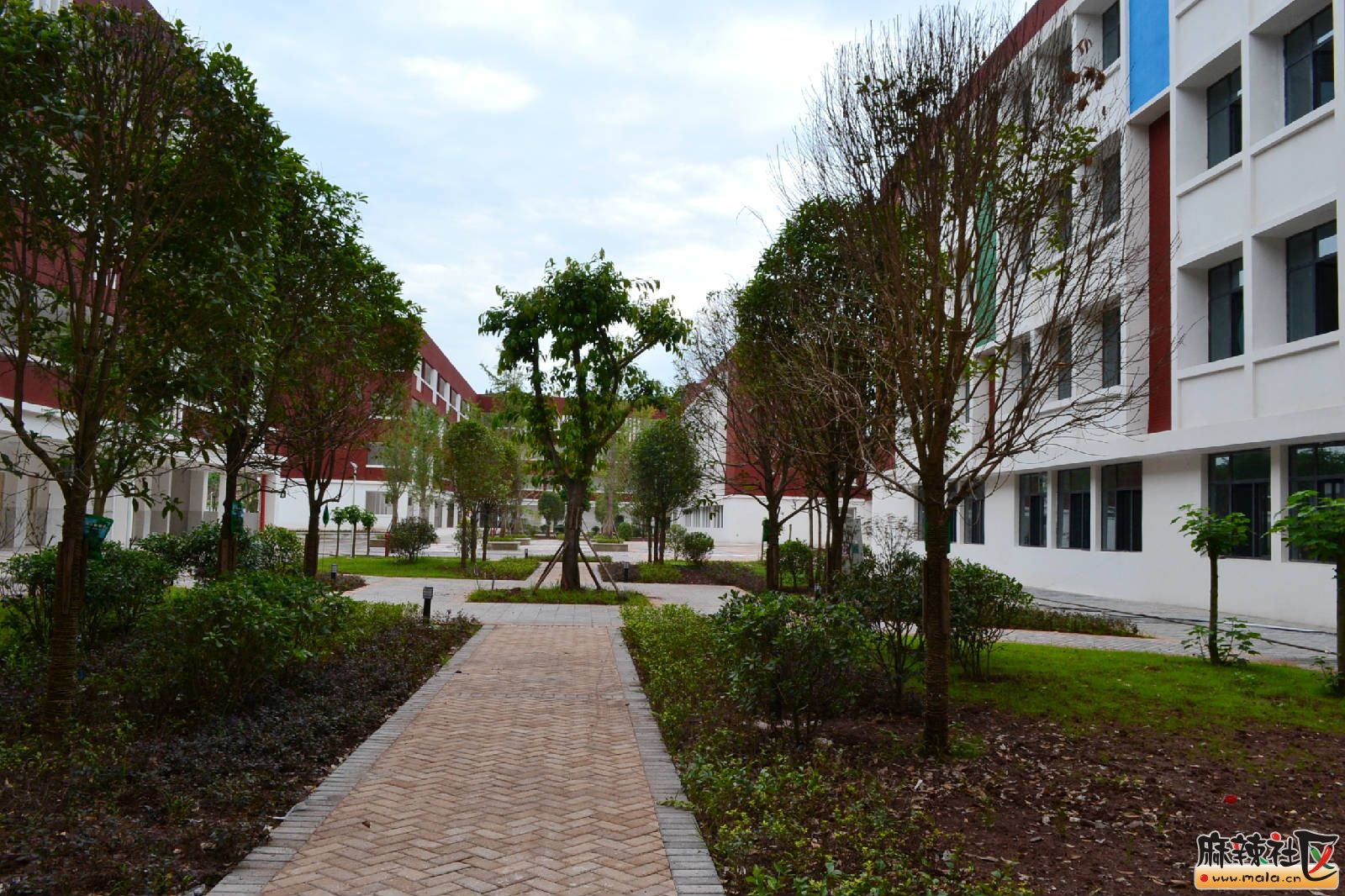 DSC_3205.JPG