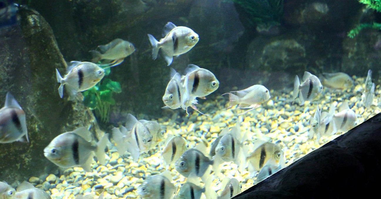 S98A4554_.jpg