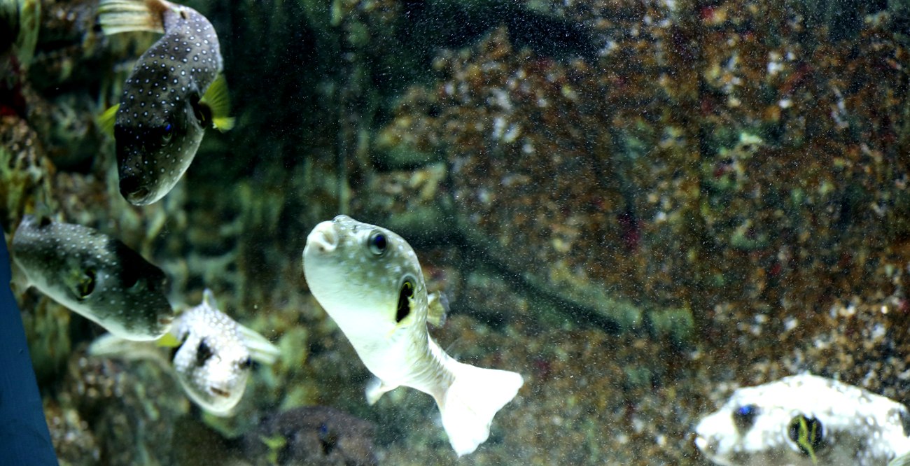 S98A4674_.jpg