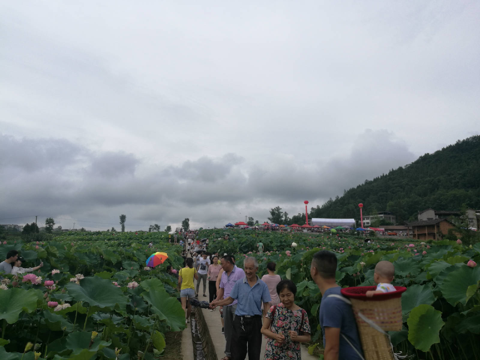 IMG_20170708_100618.jpg