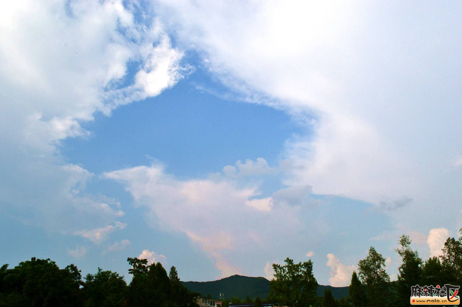 DSC_3291.JPG