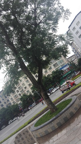 IMG_20170720_161214.jpg