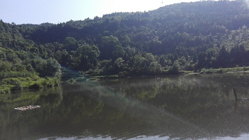 IMG_20170721_092516.jpg