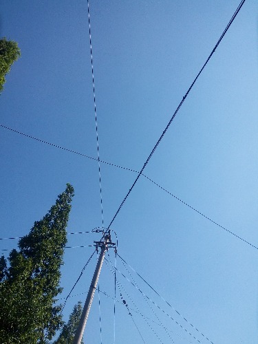 1500776058885.jpg