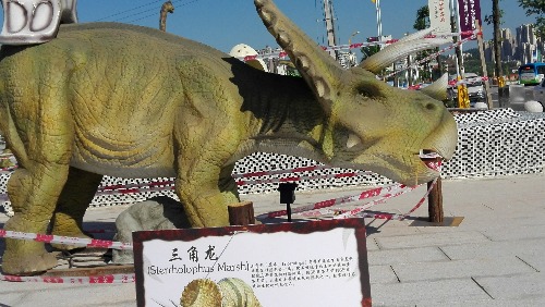 IMG_20170723_090844.jpg