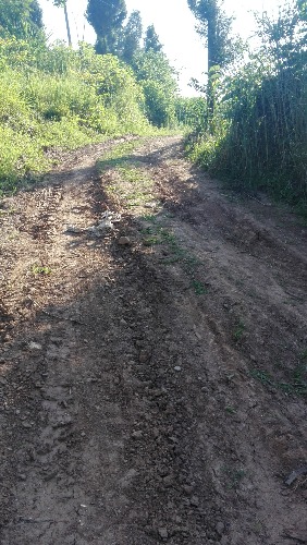 IMG_20170724_083258.jpg